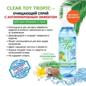 Очищающий спрей для игрушек CLEAR TOY Tropic - 100 мл. - Биоритм - купить с доставкой в Якутске