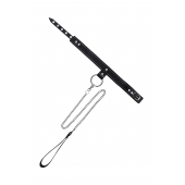 Черный узкий однослойный ошейник с серебристым поводком-цепочкой - Pecado - купить с доставкой в Якутске