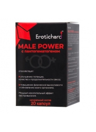 Капсулы для мужчин Erotichard male power с пантогематогеном - 20 капсул (0,370 гр.) - Erotic Hard - купить с доставкой в Якутске