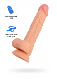 Телесный фаллоимитатор Baz - 19 см. - ToyFa купить с доставкой в интернет-магазине Orgasmix в Якутске Телесный фаллоимитатор Baz - 19 см. - ToyFa