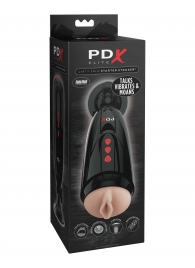 Мастурбатор-вагина с вибрацией Dirty Talk Starter Stroker - Pipedream - в Якутске купить с доставкой