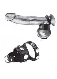 Утяжка для мошонки и пениса Cock Ring With 1  Ball Stretcher And Optional Weight Ring - BlueLine - купить с доставкой в Якутске