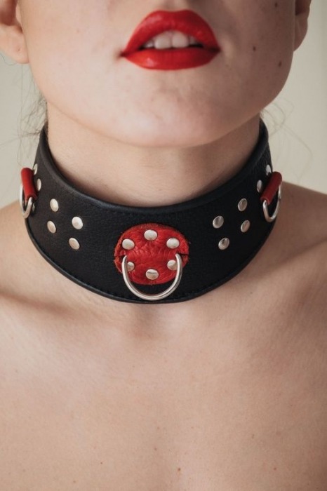 Кожаный ошейник с клепками и кольцами - БДСМ Арсенал - купить с доставкой в Якутске