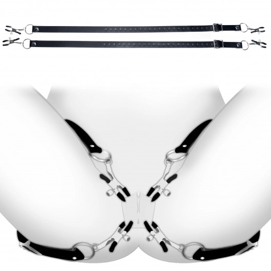 Ремни с зажимами для половых губ Spread Labia Spreader Straps with Clamps - XR Brands - купить с доставкой в Якутске