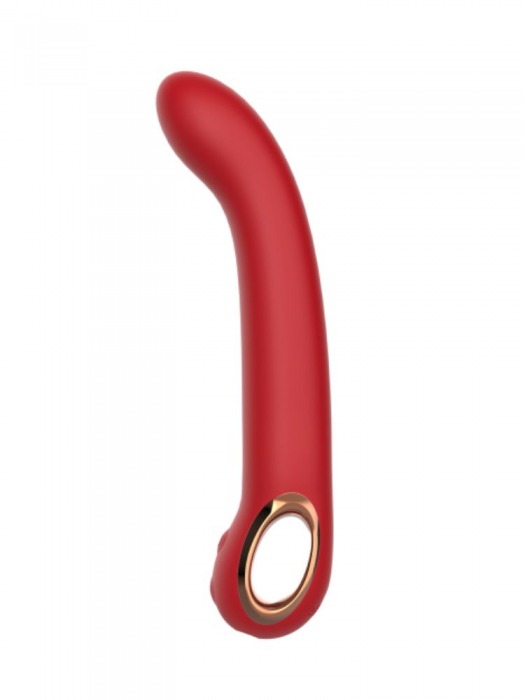 Красный силиконовый вибратор с загнутым кончиком - 22,1 см. - Secwell купить в Якутске с доставкой в Orgasmix.ru Красный силиконовый вибратор с загнутым кончиком - 22,1 см. - Secwell