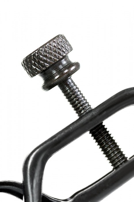 Черно-золотистые зажимы для сосков TOYFA Theatre - ToyFa - купить с доставкой в Якутске